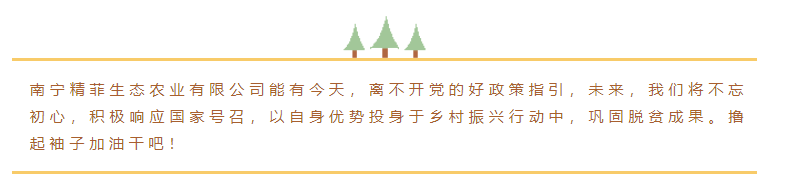 網(wǎng)站圖四